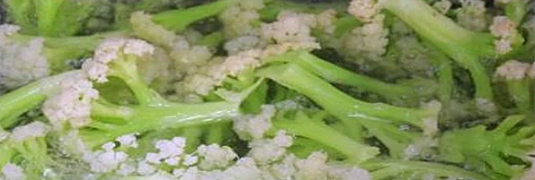 焯煮、油炸設備